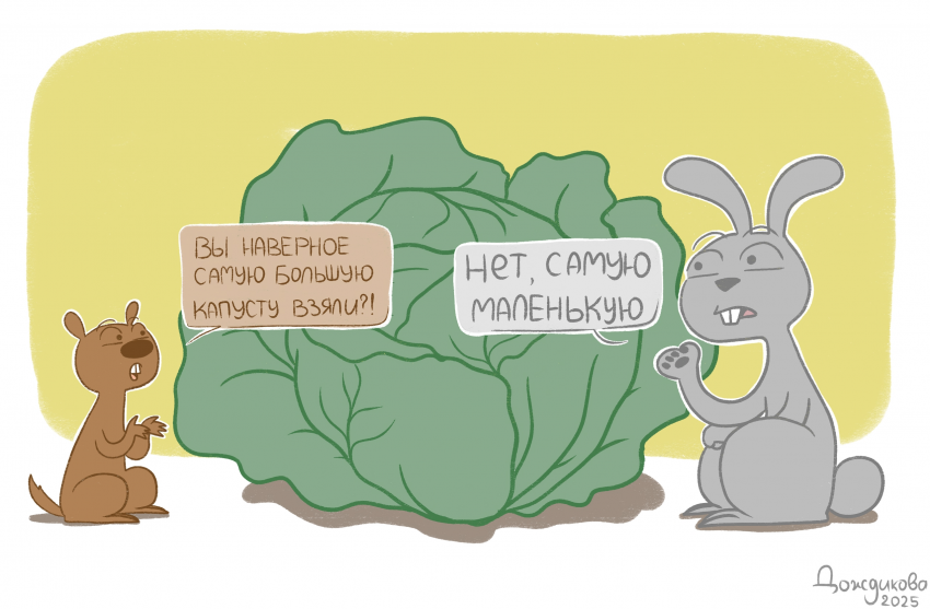 О размере