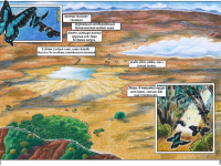 Превью выпуска №2