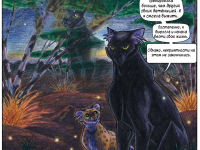 Превью выпуска №14