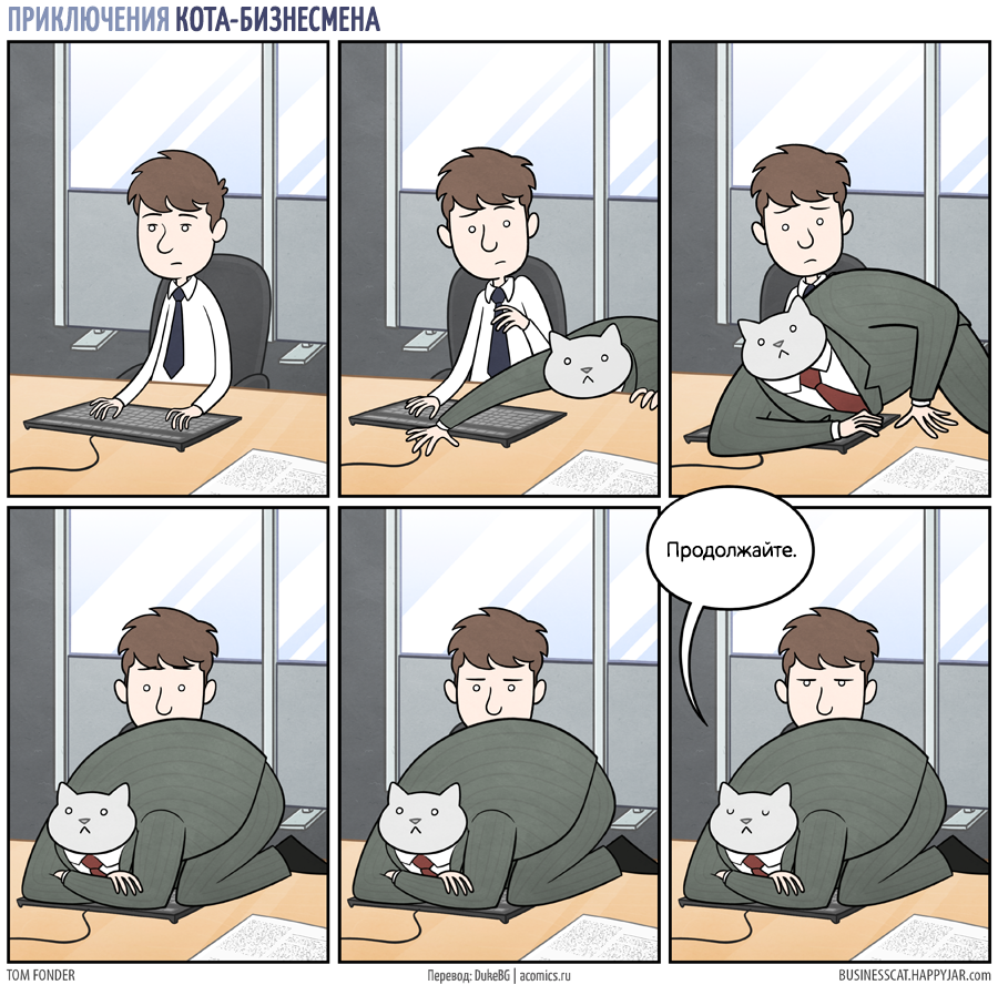 Мемы бизнес кот