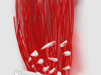 Превью выпуска №13