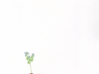 Превью выпуска №12