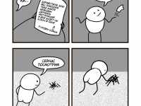 Превью выпуска №12