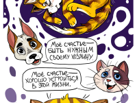 Превью выпуска №16