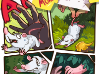 Превью выпуска №8