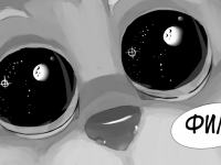 Превью выпуска №16