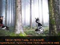 Превью выпуска №9