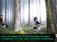 Превью выпуска №10