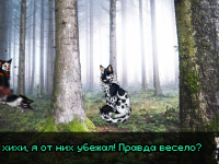 Превью выпуска №11