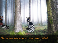 Превью выпуска №12