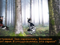 Превью выпуска №14