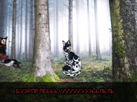 Превью выпуска №19