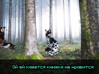 Превью выпуска №21