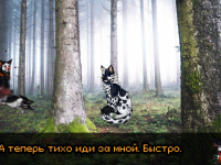 Превью выпуска №22