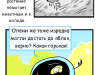 Превью выпуска №7