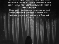 Превью выпуска №2