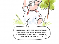 Превью выпуска №23