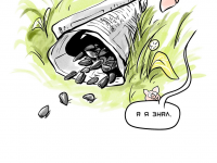 Превью выпуска №24