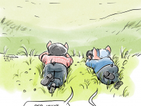 Превью выпуска №55