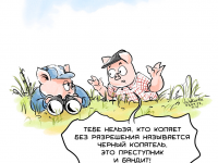 Превью выпуска №56