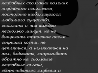 Превью выпуска №48