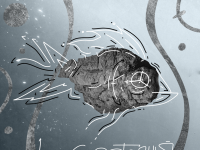 Превью выпуска №214