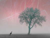 Превью выпуска №215