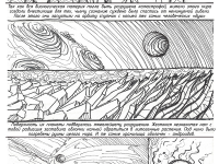 Превью выпуска №17