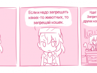 Превью выпуска №7