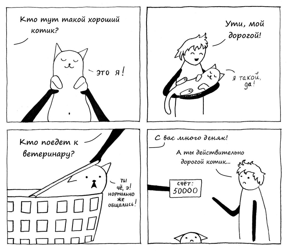 Дорогой котик