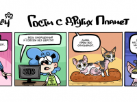 Превью выпуска №51