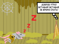 Превью выпуска №5