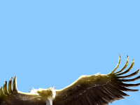 Превью выпуска №30