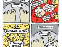 Превью выпуска №10