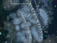 Превью выпуска №2