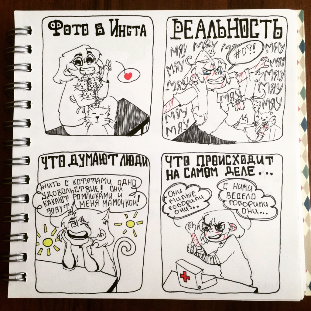 Вся правда о фотках с котиками