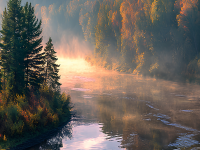 Превью выпуска №44