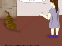 Превью выпуска №17