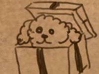 Превью выпуска №10