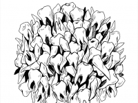 Превью выпуска №1