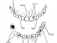 Превью выпуска №4