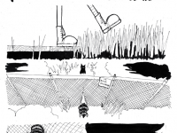 Превью выпуска №13