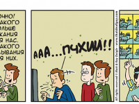 Превью выпуска №256