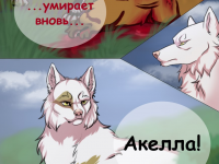 Превью выпуска №5