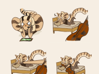 Превью выпуска №5