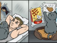 Превью выпуска №24