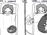 Превью выпуска №10