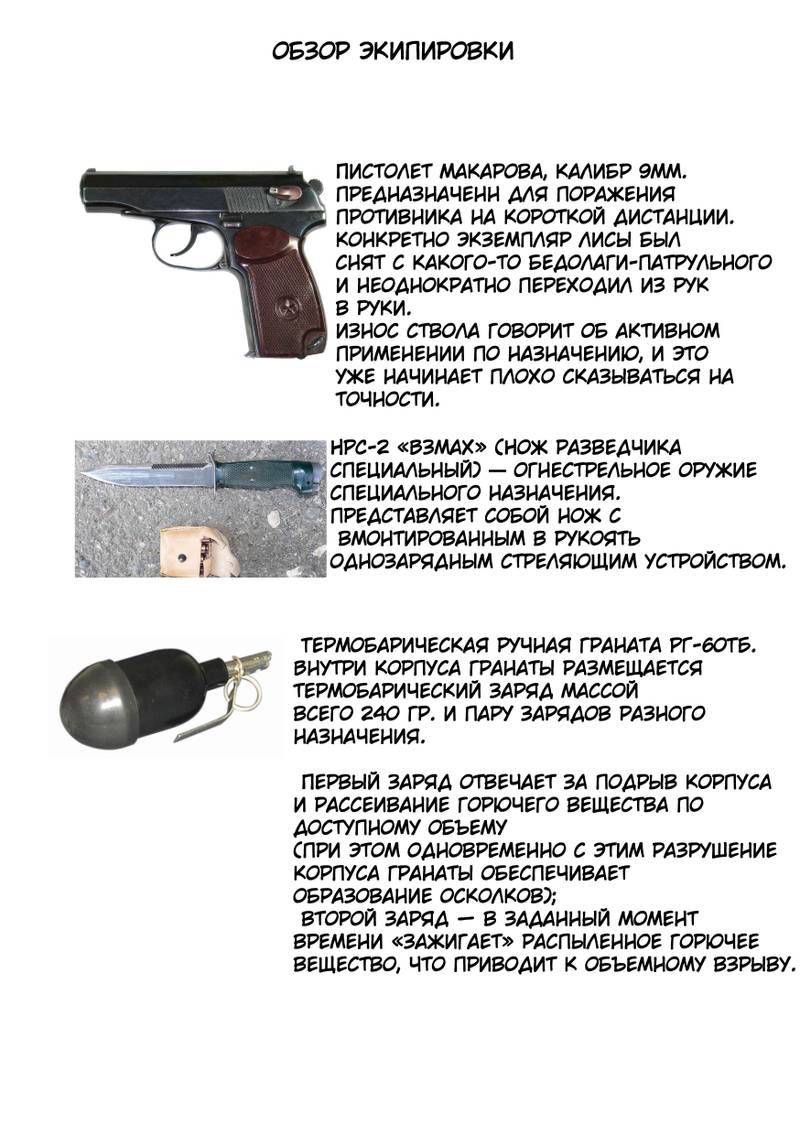 Комикс Жизнь Лисы: выпуск №37