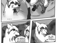 Превью выпуска №13