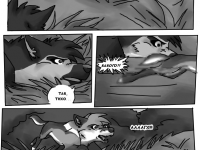 Превью выпуска №14